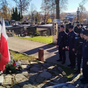 25_hold_na_cmentarzu_3