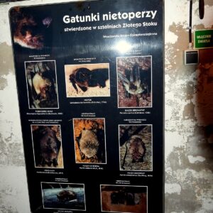 25_wroclaw_i_kotlina_46